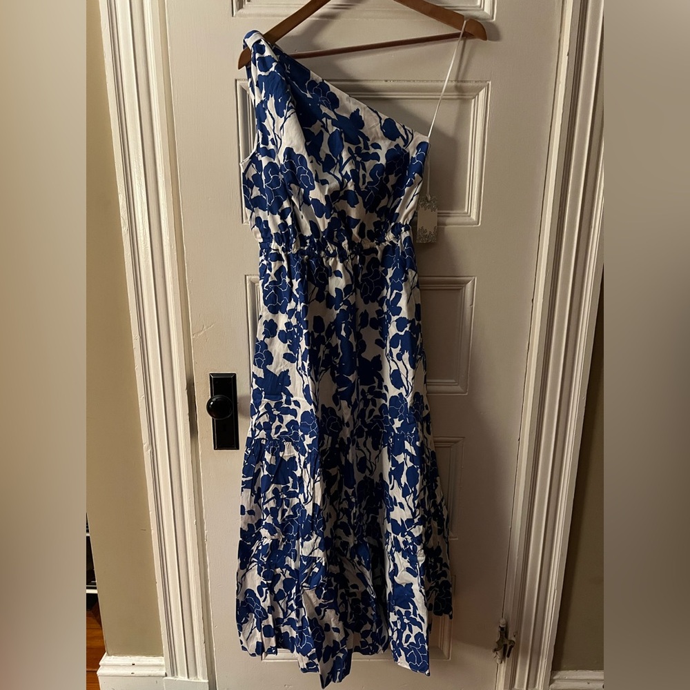 Tuckernuck Blue and White One-Shoulder Floral Maxi Dress - Picture 7 of 9